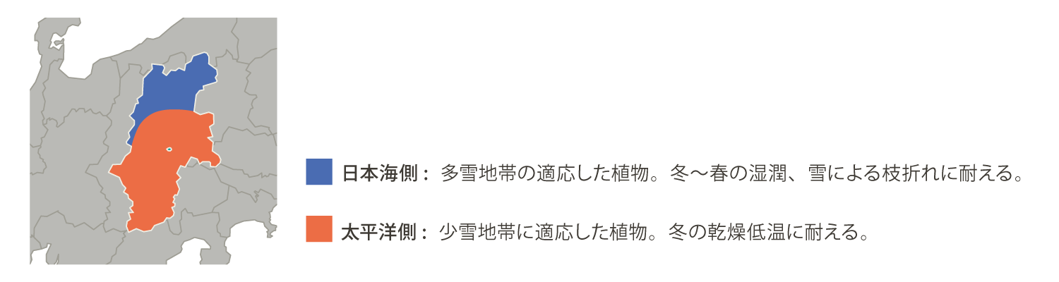 長野県地域図